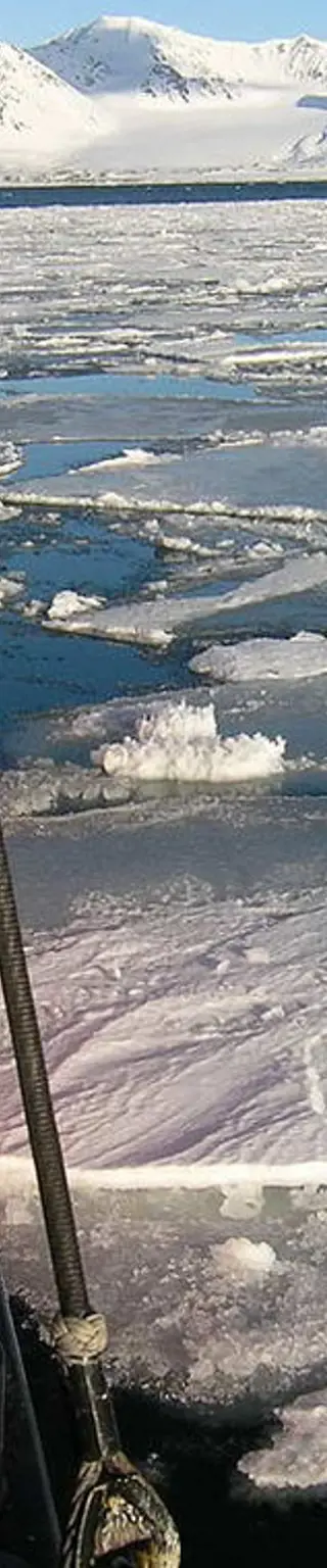 Durchs Packeis auf der Suche nach Eisbären